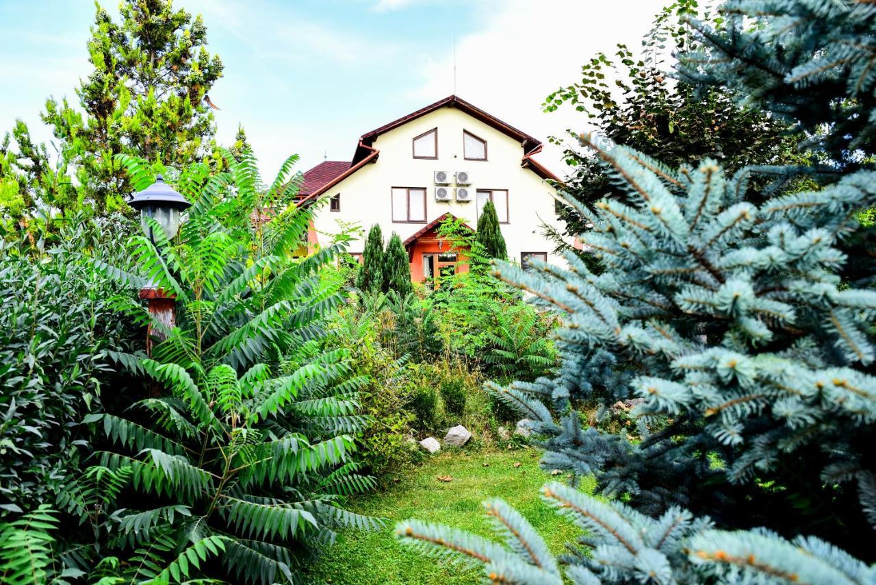 Casa Moteasca Hotel Mihai Viteazu  Eksteriør billede